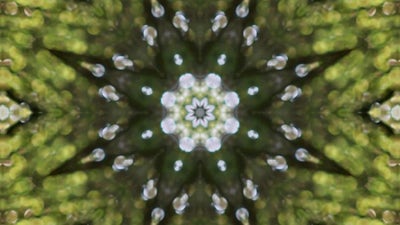 Disuelve lo desagradable