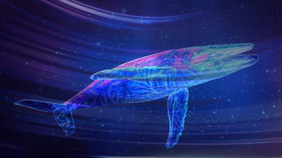 From Here to Alternity with John Lilly