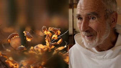 Im Jetzt – Die Reise zur wahren Selbstfindung