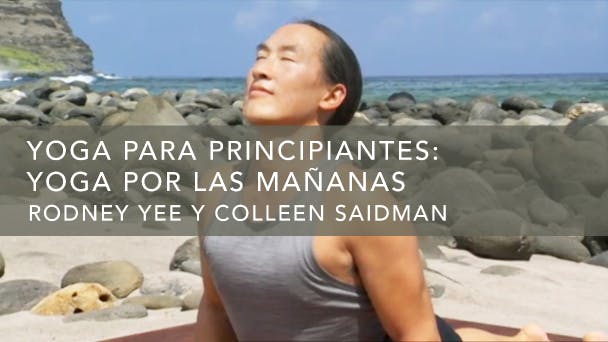 Yoga por las Mañanas