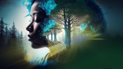 Part 2 : The Origins & Mechanics of Consciousness