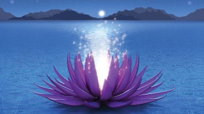 À la découverte de nos dons