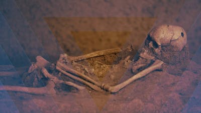 Vérités profondes sur notre origine