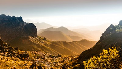 Godseed (Dr. Jean Houston)