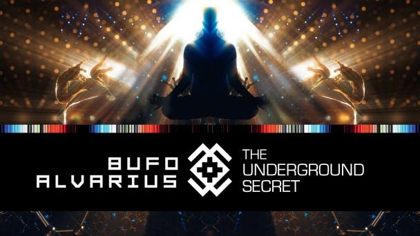 Bufo Alvarius: The Underground Secret