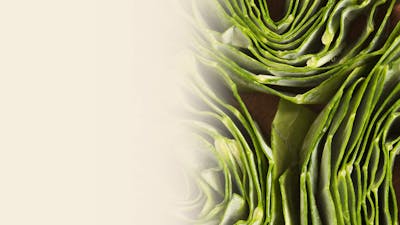 Collard Green Wrap