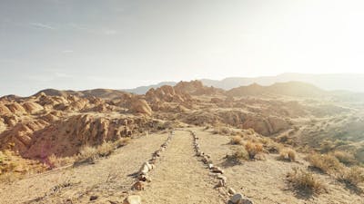 Vision Through Challenge