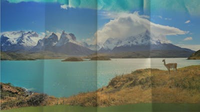 Chili: les guérisseurs Mapuche