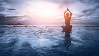 Doug Bentley on Deeksha and the Oneness Meditation