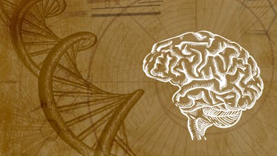 Programación Subconsciente