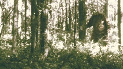 Small Town Monsters with Seth Breedlove