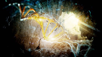 Les Dénisoviens : peut-être des géants