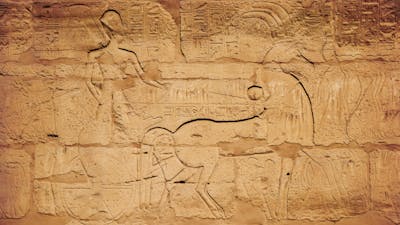 Paso 3: El peligro de la forma