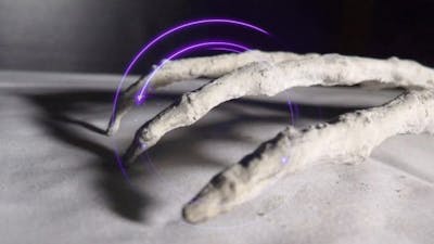 Seres de tres dedos en Perú