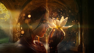 Clear Low Vibrations