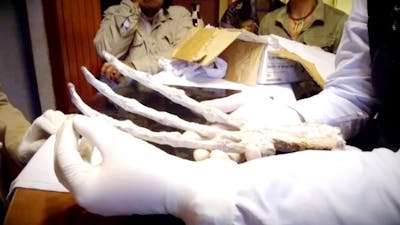 Conclusiones Finales