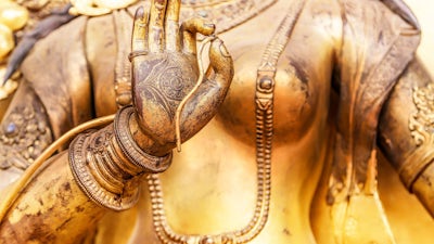 The Healing Power of Community with M.C. Sweet