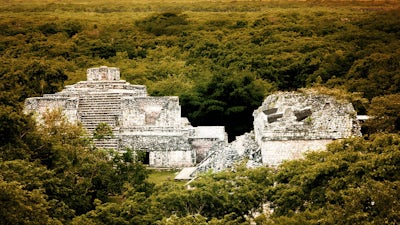 Mayan Temples in the Jungle