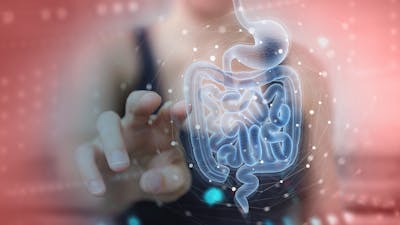 Mental Health Connection 