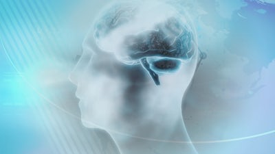 Investigaciones demuestran que las épocas de inestabilidad aumentan la neuroplasticidad