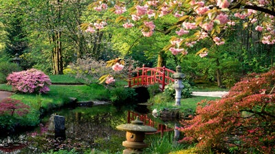 Your Mind Unlocking Your Hidden Powers (Dr. Henry Reed)