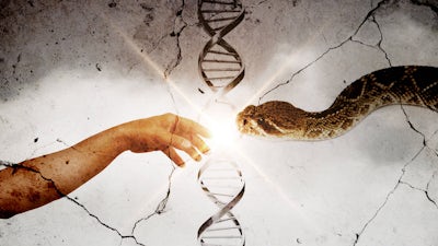 Los reyes sumerios y el juramento de los Anunnaki