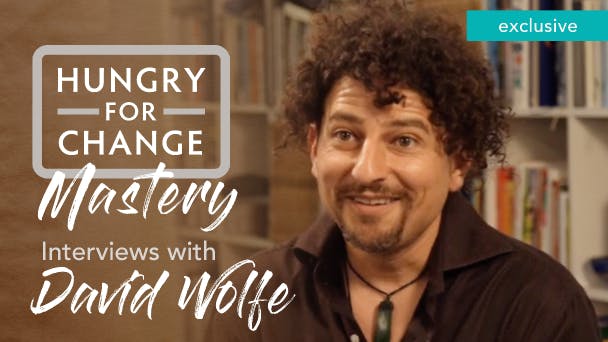 David Wolfe Mastery