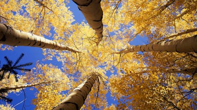 Gregg Braden on Deep Truth