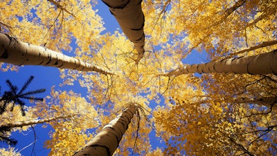 Gregg Braden on Deep Truth