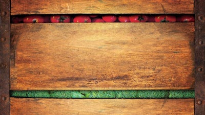 La Importancia de la Nutrición