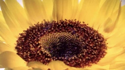 Stories of Miracles – Part 2