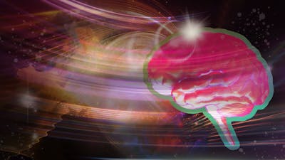 The Holographic Brain with Karl Pribram