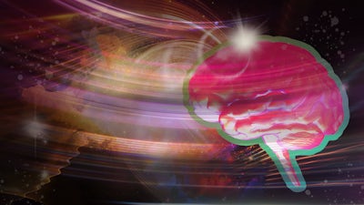 The Holographic Brain with Karl Pribram