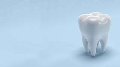 Toxicity of Mercury Fillings with Victor Zeines