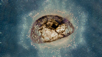 ¿Es la consciencia electromagnética?