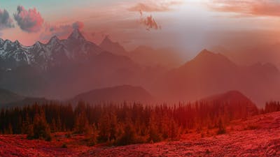 Value of Connections - Talk