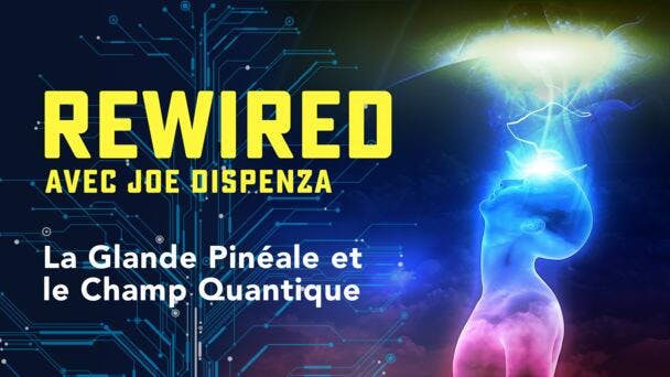 La Glande Pinéale et le Champ Quantique
