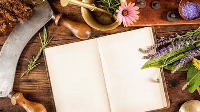 Psychic Healing Research (Dr. Elisabeth Targ) – Part 2