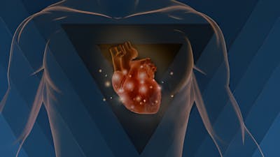 Herz-Gehirn-Harmonie