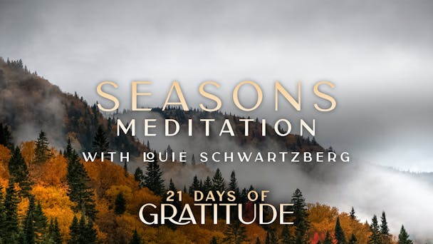 Seasons - Meditation 
