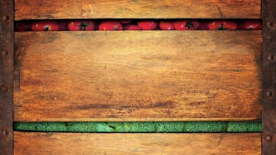 Food Matters