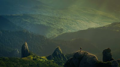 The Natural Law