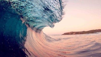 The Householder's Path