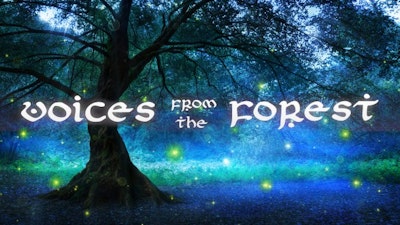 Voices from the Forest