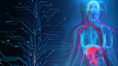 Healing Power of Alignment