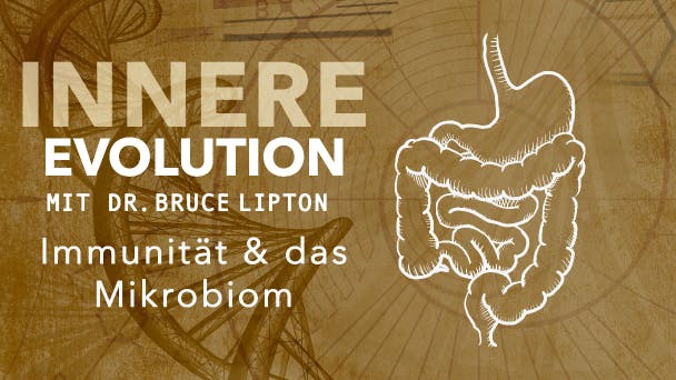 Immunität & das Mikrobiom
