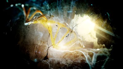 Homínidos de Denísova: podrían ser gigantes