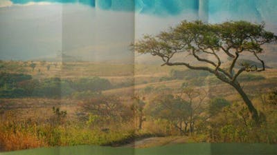 Malawi: les guérisseurs des collines