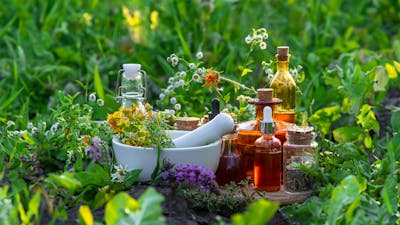 El espíritu de las plantas