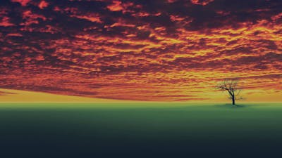 Fierce Environmentalism with Mark Kitchell
